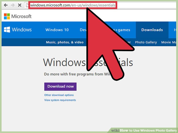 Windows Photo Gallery Download Windows 10